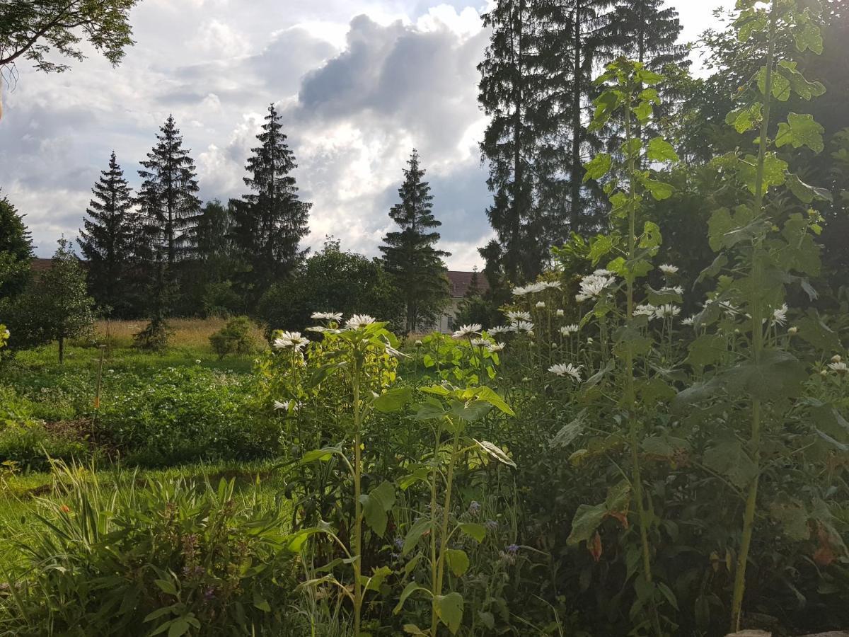 La Pause O Logis Saint-Laurent-du-Jura